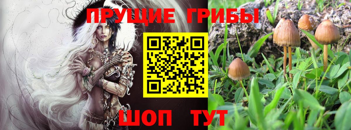 Галлюциногенные грибы мухоморы  Псилоцибиновые грибы Psilocybe  Нижнекамск  Вход с VPN 